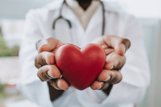 Portrait of a doctor holding a heart in his hands. How AI is Revolutionizing Cardiac Health